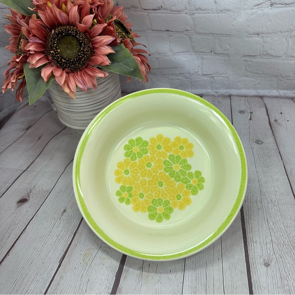 vtg picnic by Franciscan Earthenware 9" round vegetable bowl retro floral EUC - Picture 1 of 6